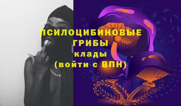 PSILOCYBIN Красноперекопск