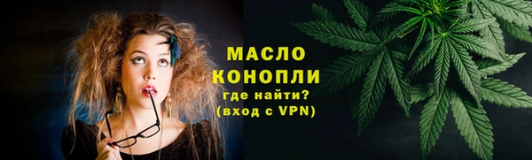 гидра Краснослободск