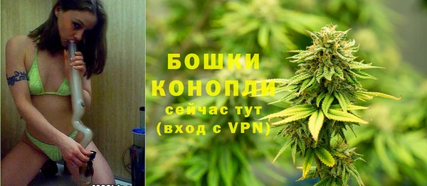 дурь Коряжма