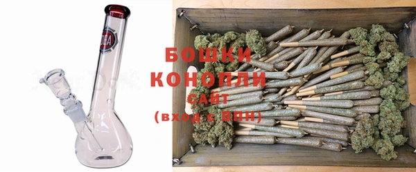дурь Коряжма