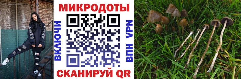 Псилоцибиновые грибы прущие грибы  Купить  Берёзовский 