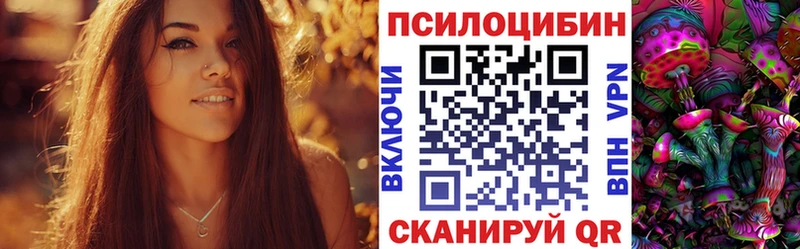 Псилоцибиновые грибы Psilocybine cubensis Берёзовский
